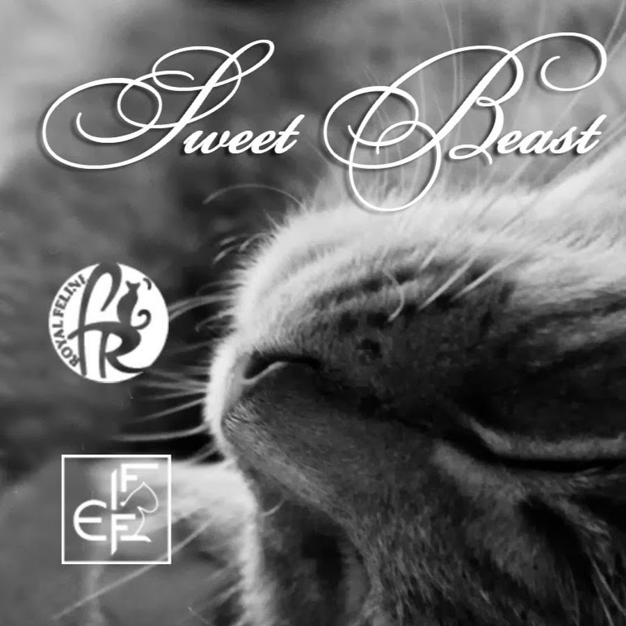 penthouse sweet beast