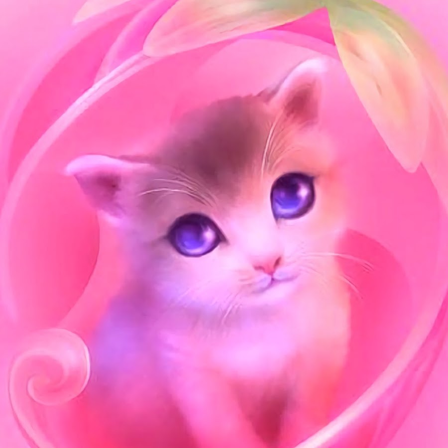 pink kitten