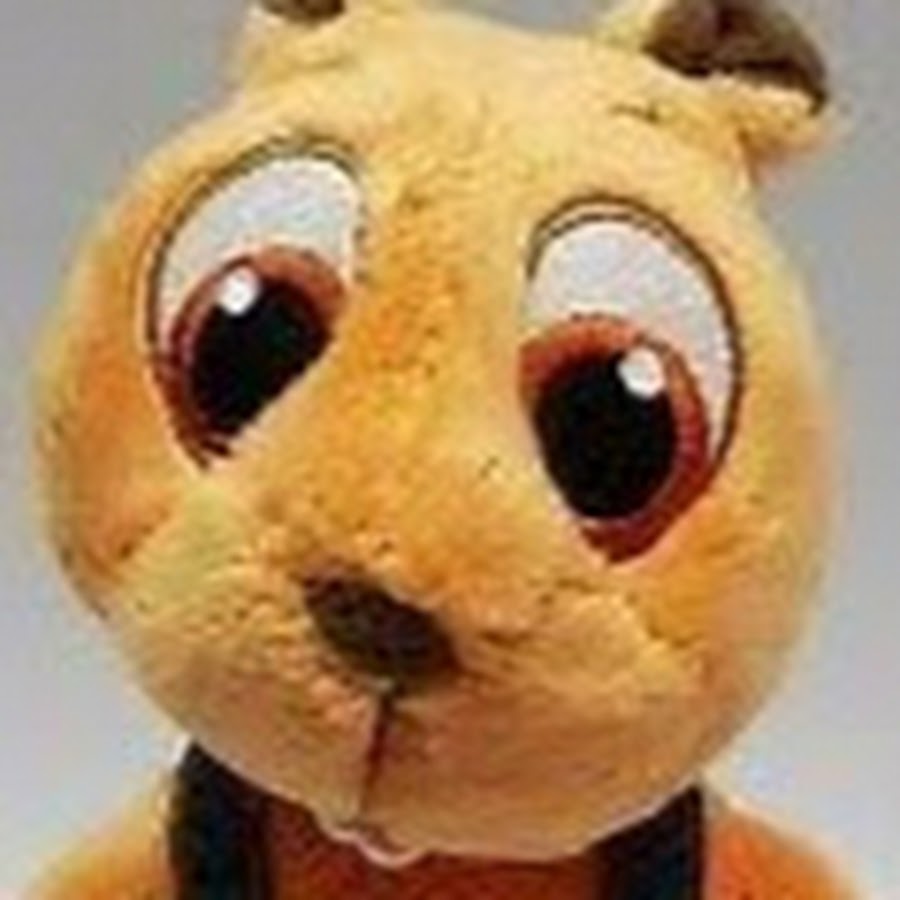 World ́s Biggest Pet Store - Zoo Zajac - YouTube