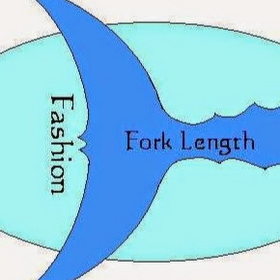 Fork Length YouTube