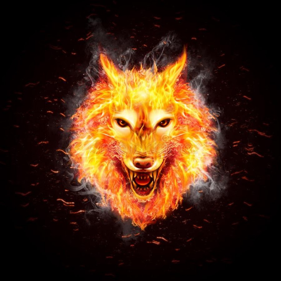 Fire Wolf Youtube