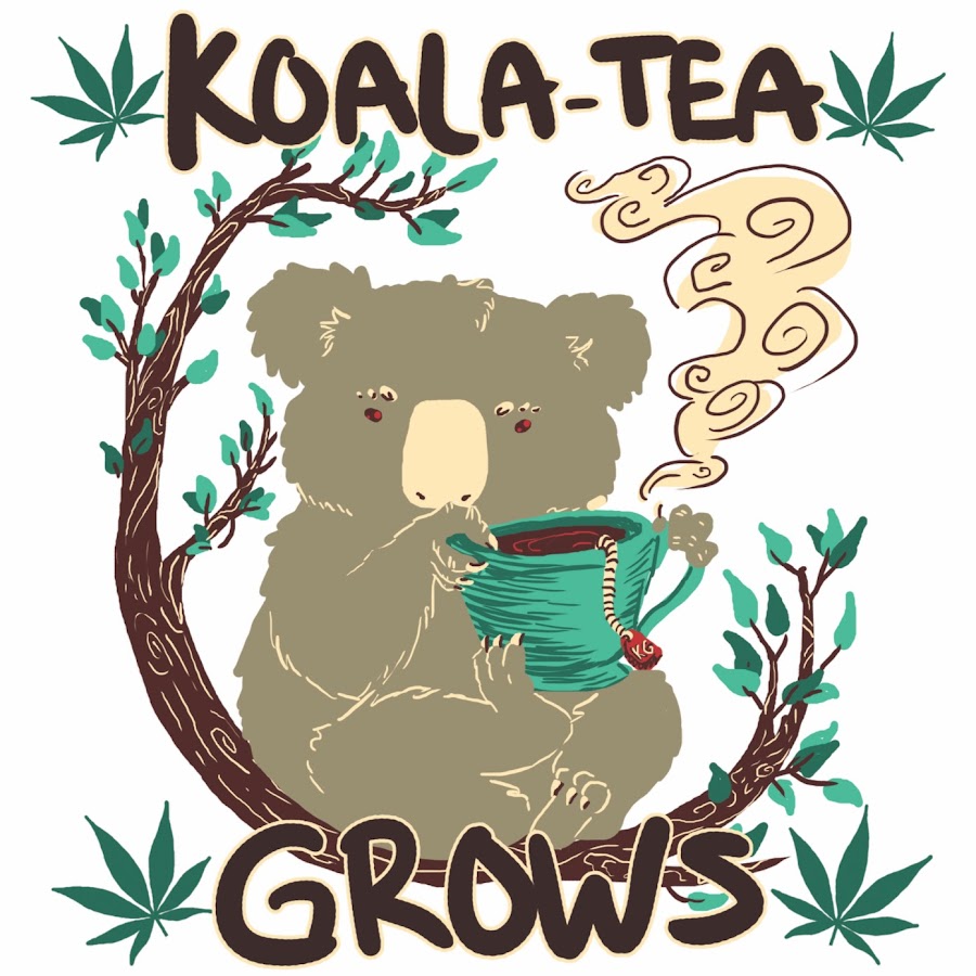 KoalaTea Grows YouTube