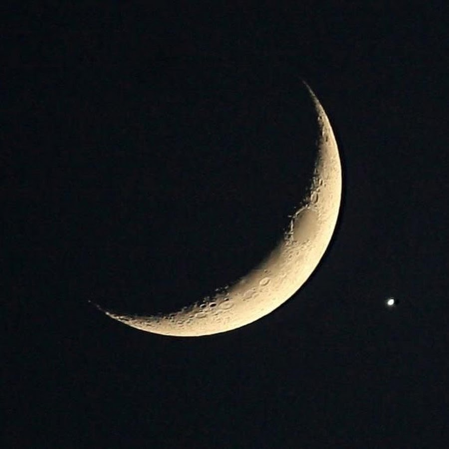 Moonland цвет ланос