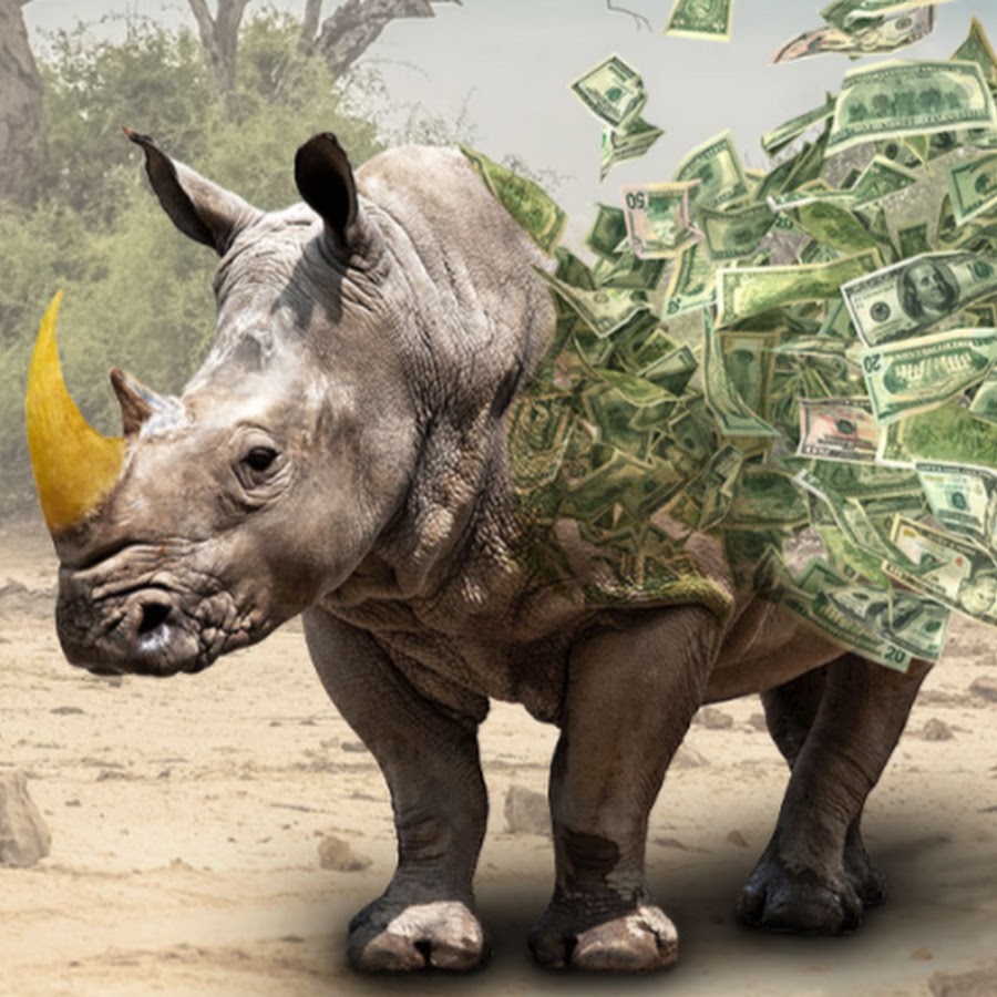 Jim Panella Rhino Slots - YouTube