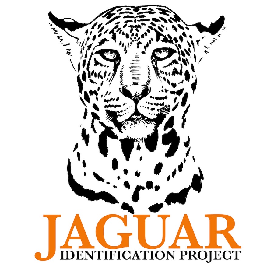 Jaguar Identification Project - YouTube