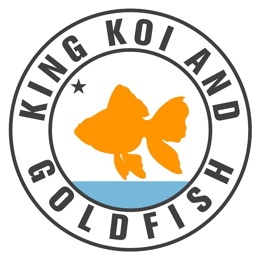 King Koi & Goldfish - YouTube