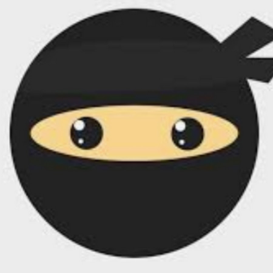 little NinJa - YouTube