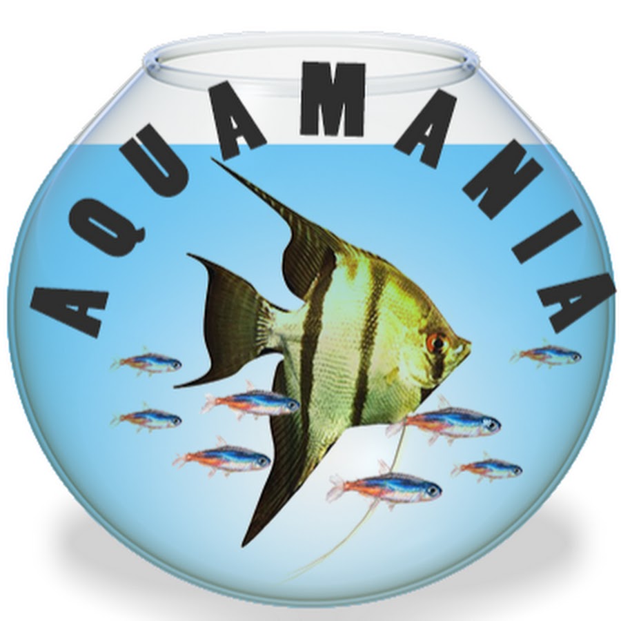 aquamania - YouTube