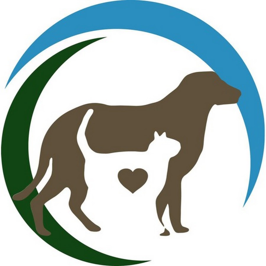 Ветеринарный логотип идеи