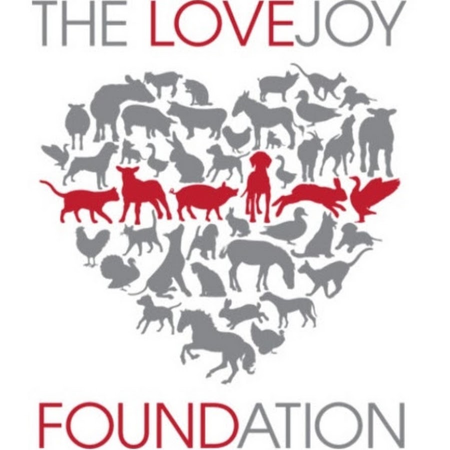 The Lovejoy Foundation YouTube