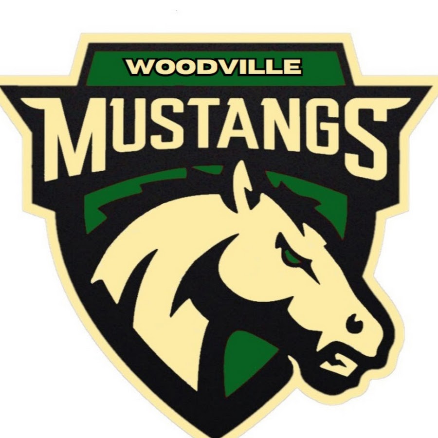 Woodville School YouTube