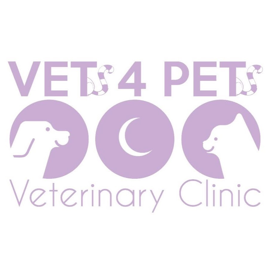 Vets4Pets Veterinary Clinic YouTube