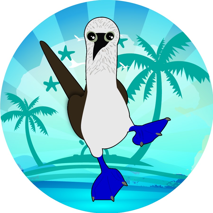 Patas Azules - YouTube