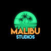 What could Malibu Studios buy with $2.54 million?