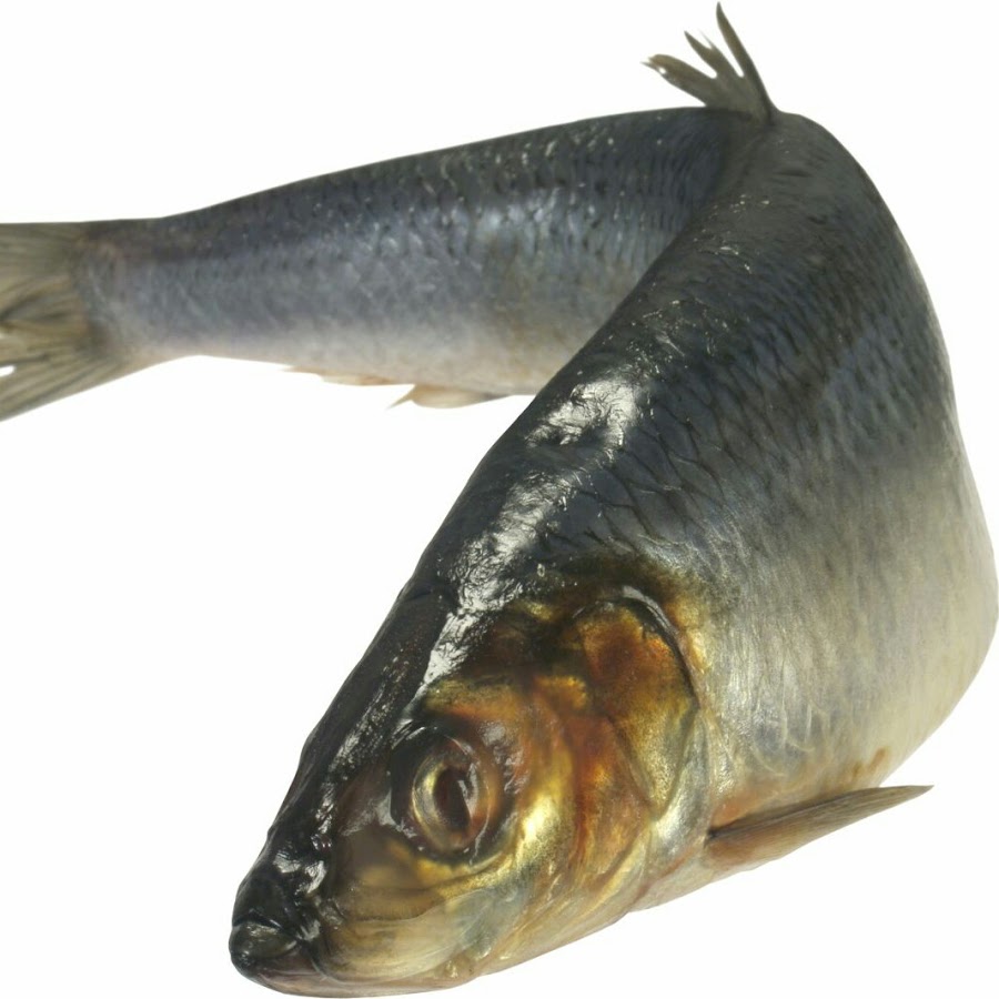 Селедка Речная - YouTube