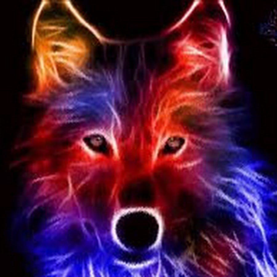 RAINBOW FOXS - YouTube