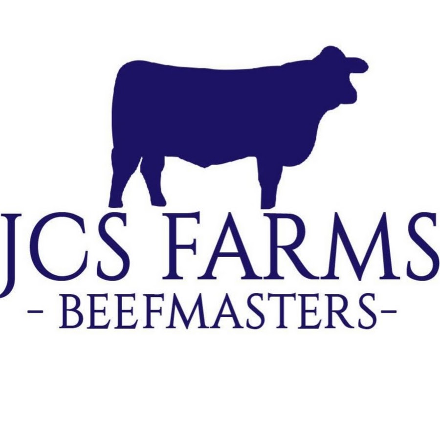 JCS Farms - Beefmasters - YouTube
