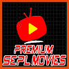What could Premium Sepl Movies buy with $1.3 million?