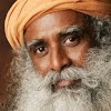What could Sadhguru Tamil buy with $325.76 thousand?