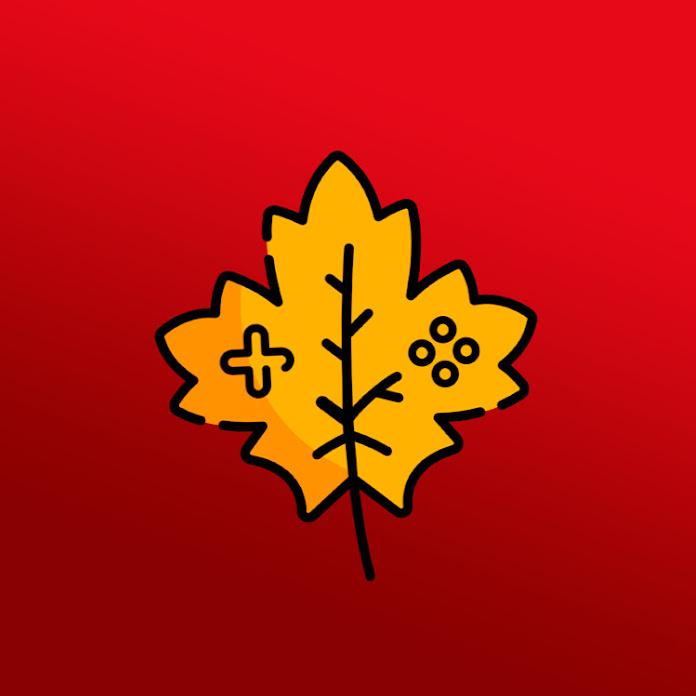 KLENOFF Net Worth & Earnings (2026)