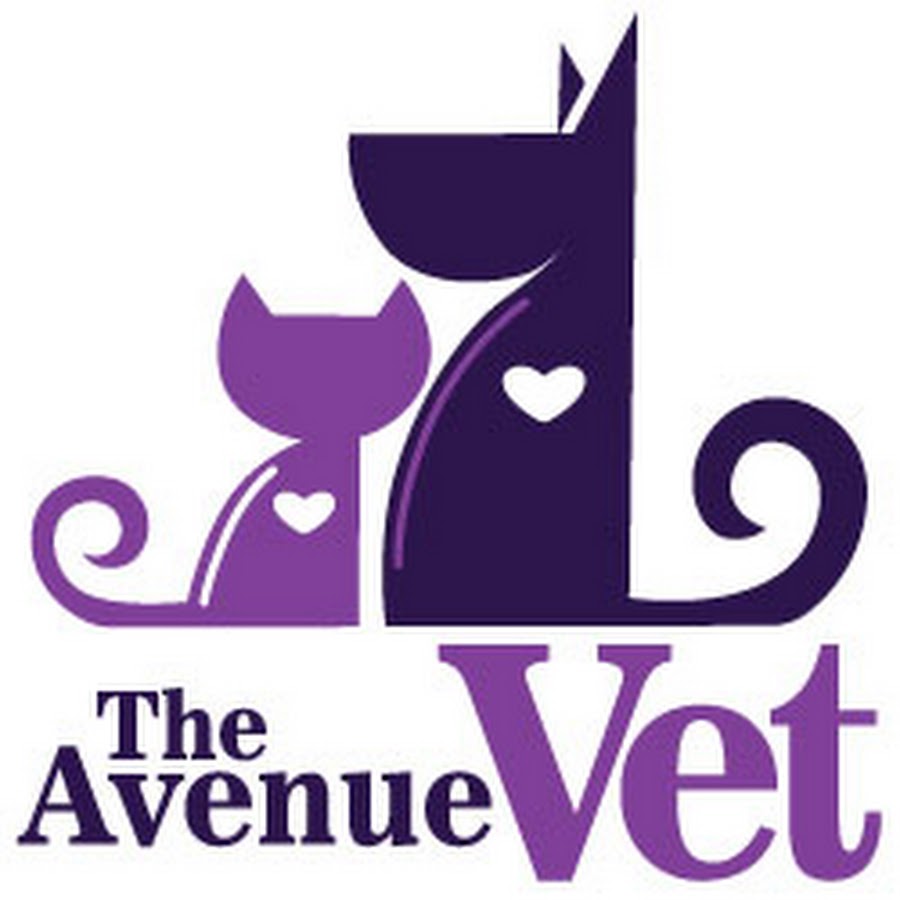 The Avenue Veterinary Clinic YouTube