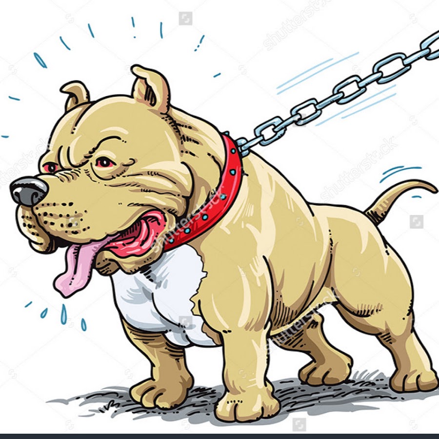 Питбуль cartoon
