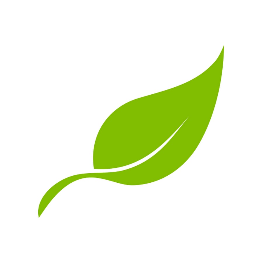 Логотип лепесток. Лист логотип. Значок зеленый листик. Очертания зеленых листьев. Листья зелёные векторный.