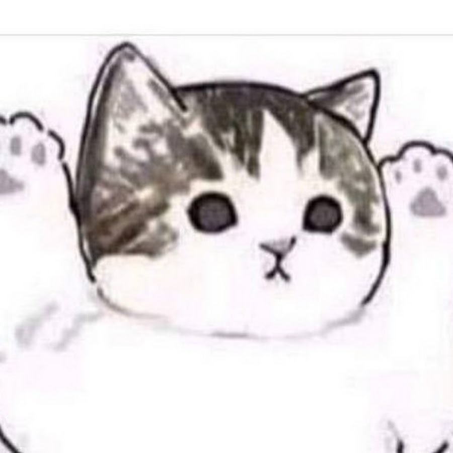 Картинка штош с котом