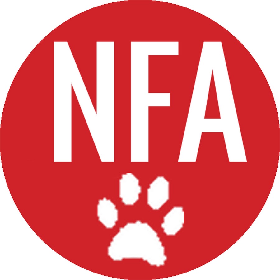 Network For Animals YouTube