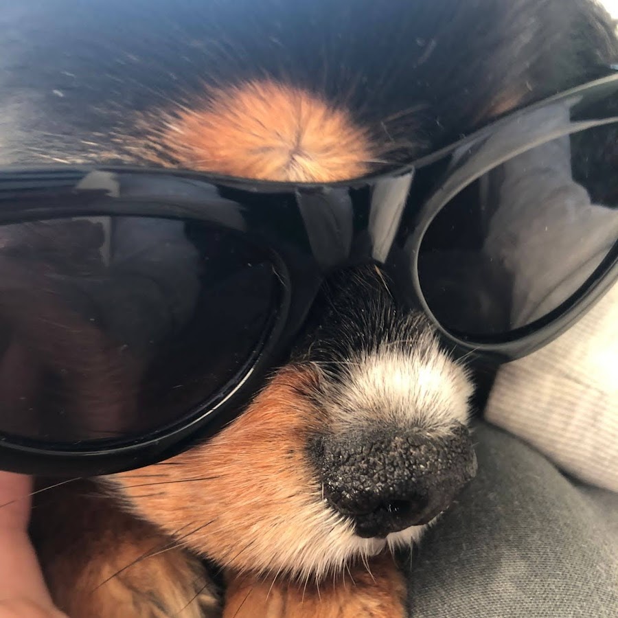 Bright_Chan ! - YouTube