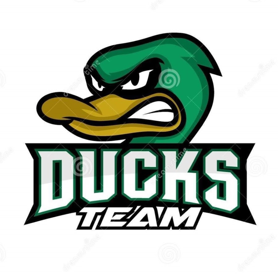 Logo Duck stories