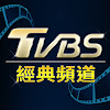What could TVBS經典頻道 buy with $216.2 thousand?