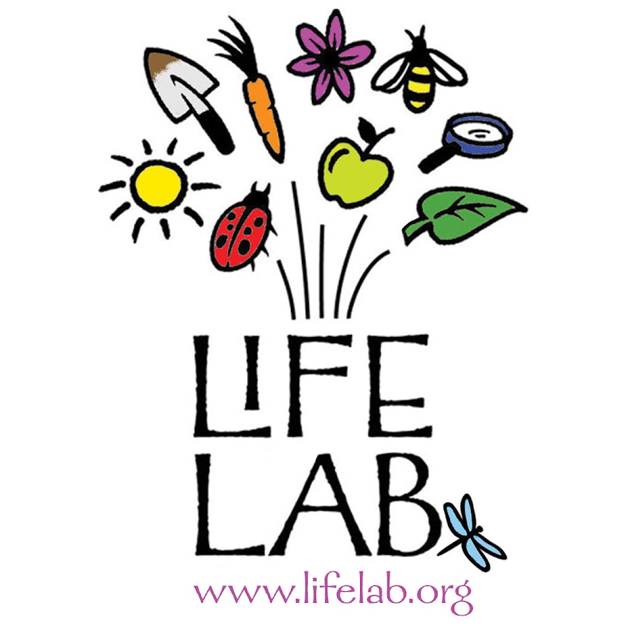 Life Lab YouTube