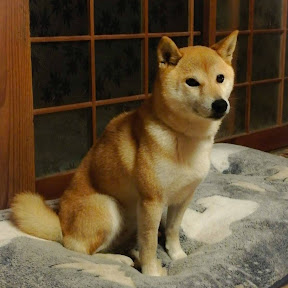 歴史未来ラボ画像