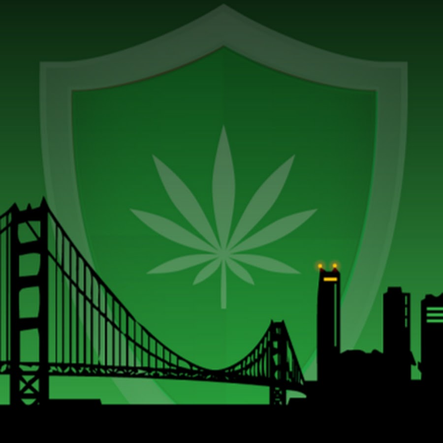 Nine Point TV Cannabis Insurance, HR &amp; Safety YouTube