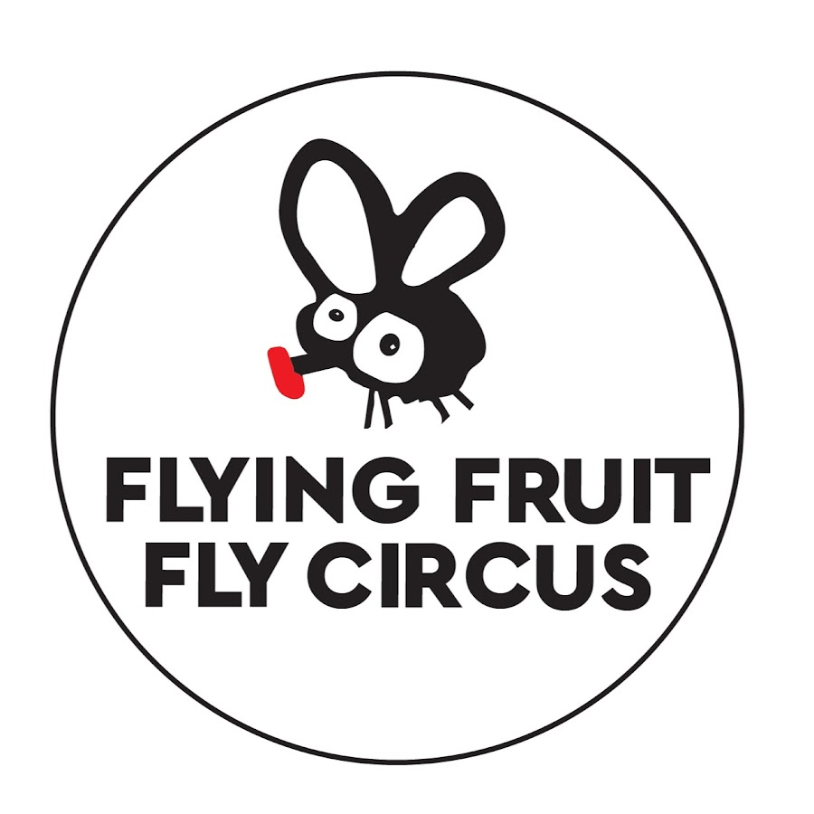 Fruit fly circus school. перевод текста the flying fruit fly circus school. Fruit fly circus school. Flying fruit fly school. группа цирк.