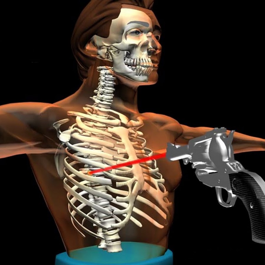 21st Century Forensic Animations - YouTube