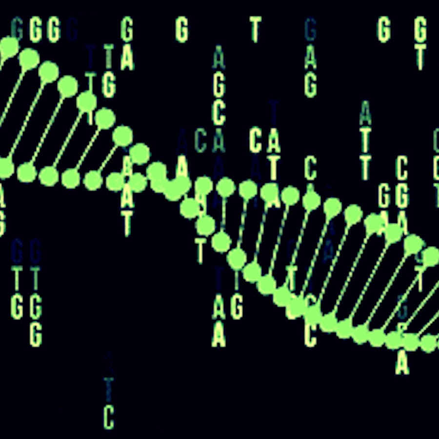 Днк фото. Спираль днк. Днк 3д модель. Геном 3. Днк фото.
