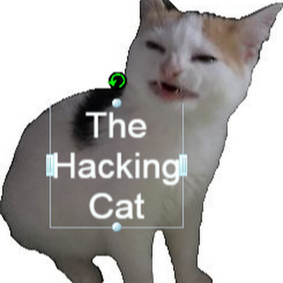 The Hacking Cat YouTube