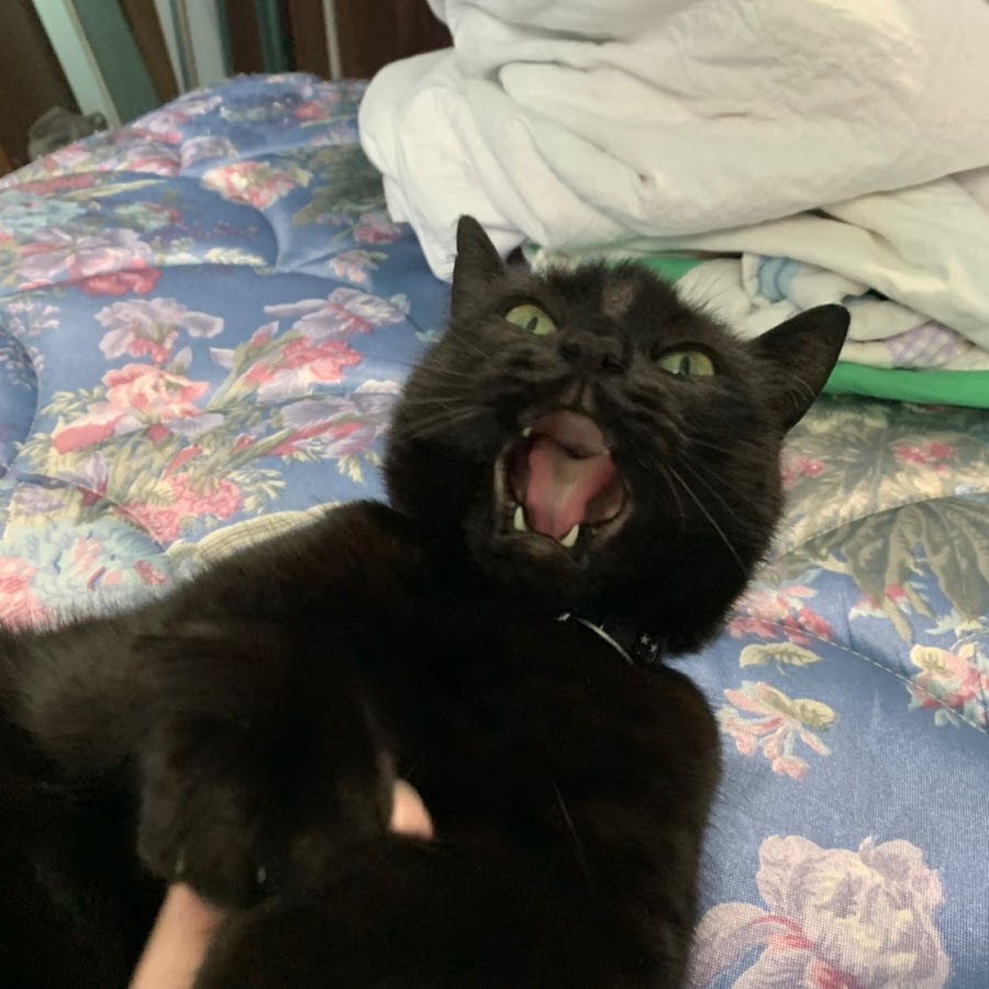 therapist barbie - YouTube