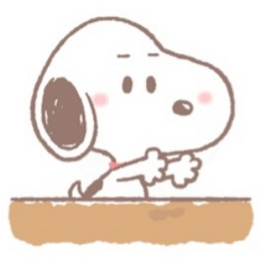 すぬ YouTube