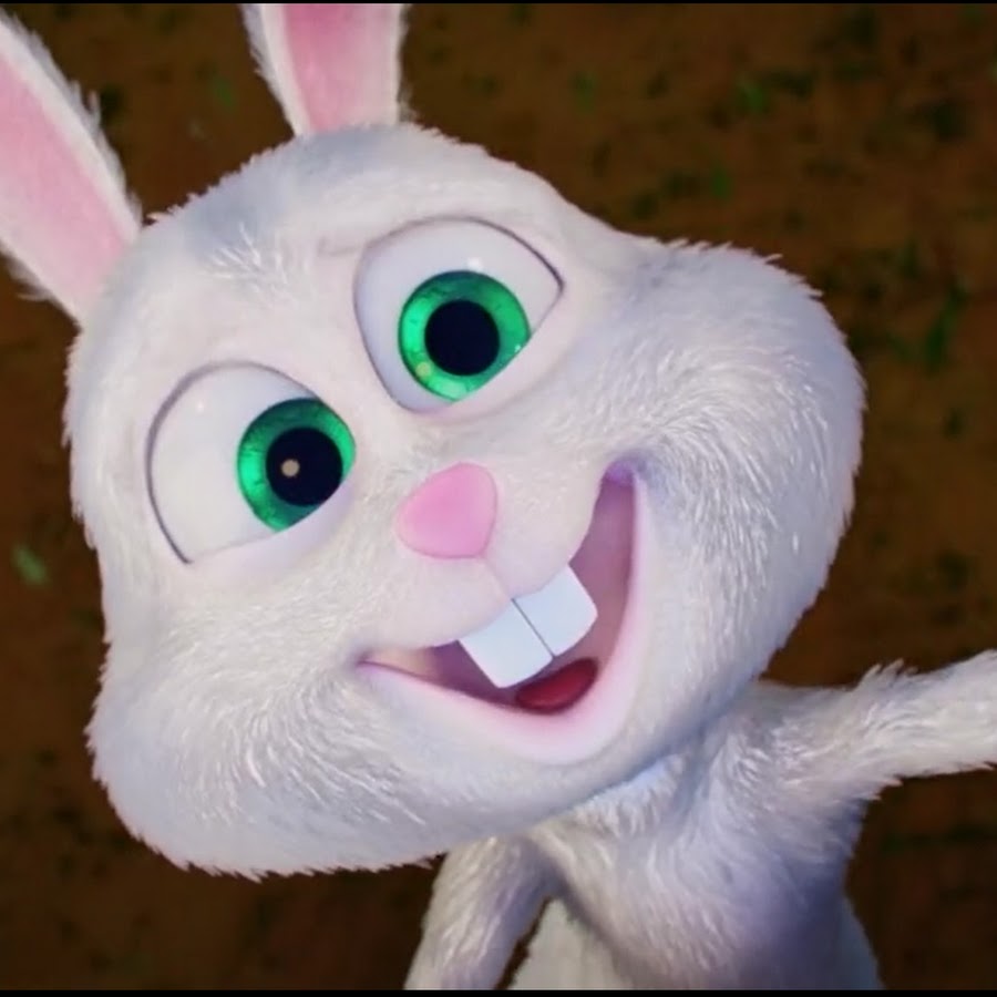Funny Bunny 