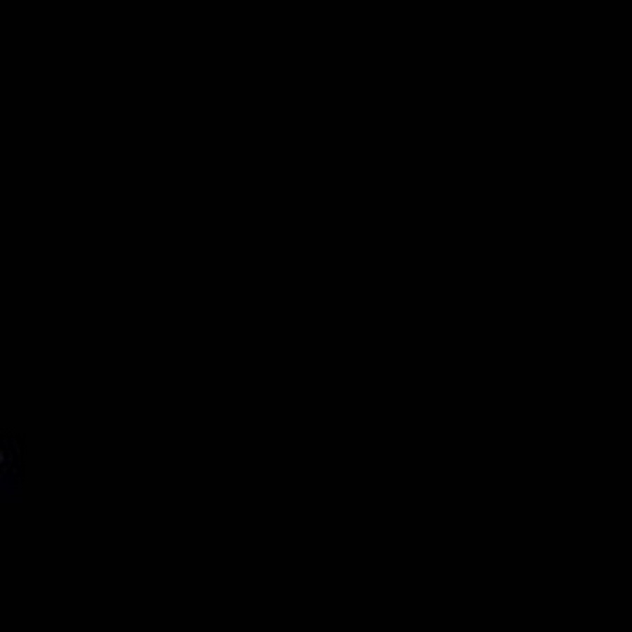 Turkey movie - YouTube