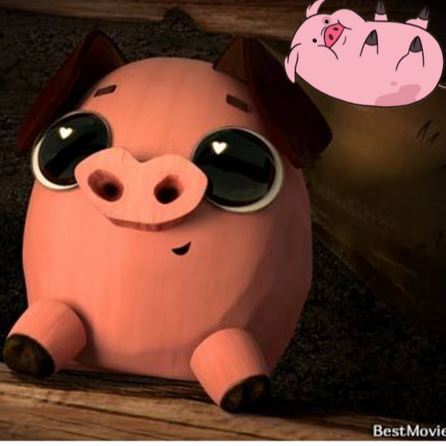 Primary Pigs - YouTube