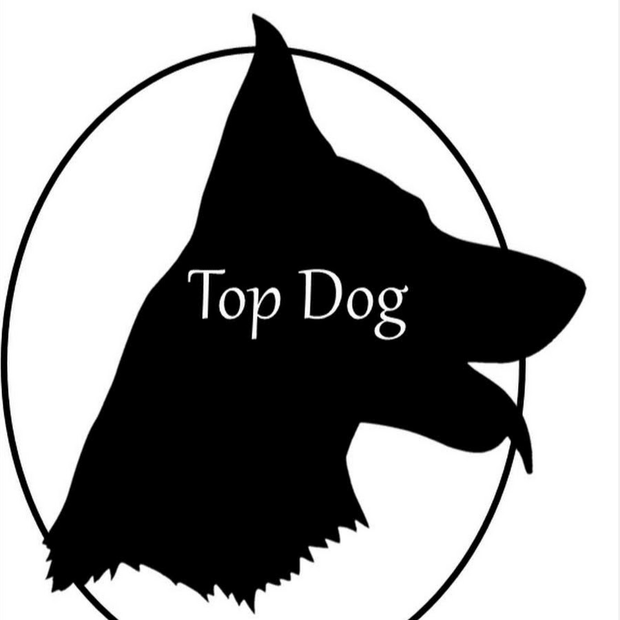 Top dog 28 лого. Top dog 32. Top dog 32. Top dog fighting championship логотип. Карту дог.