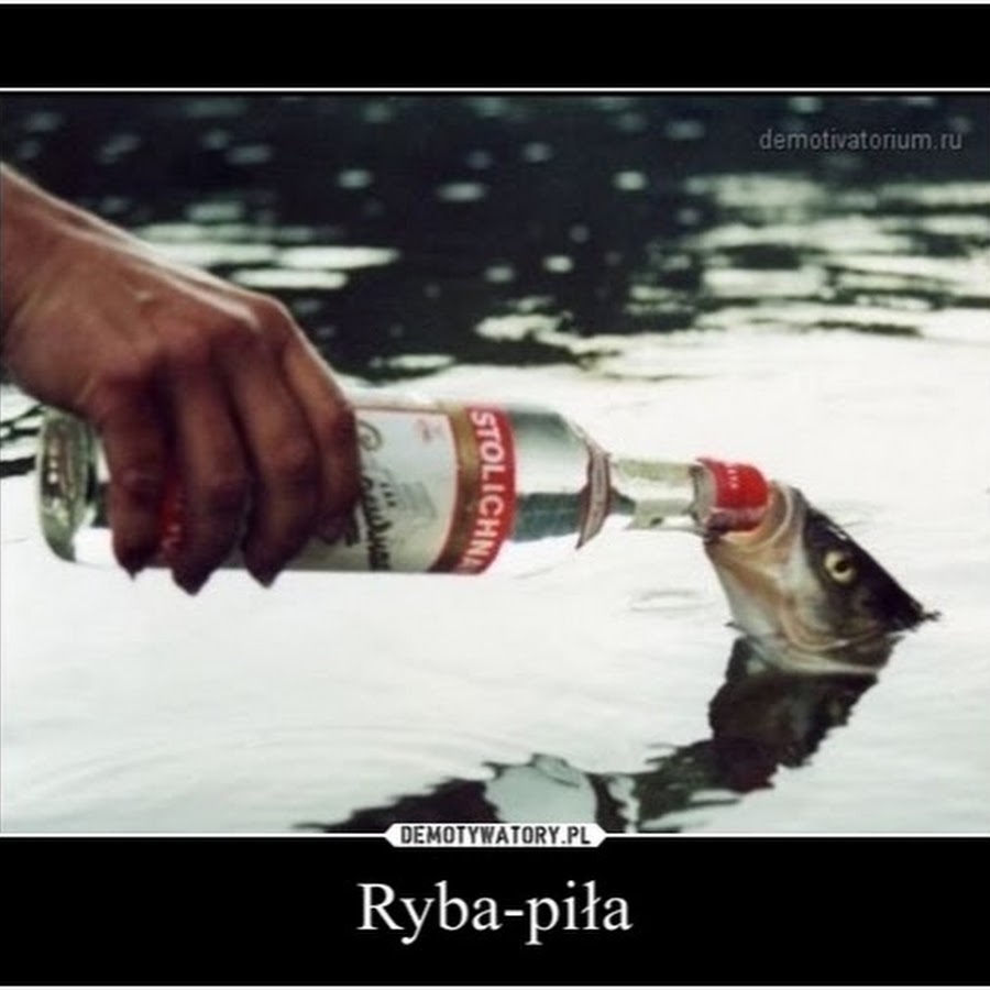 Рыба прикол