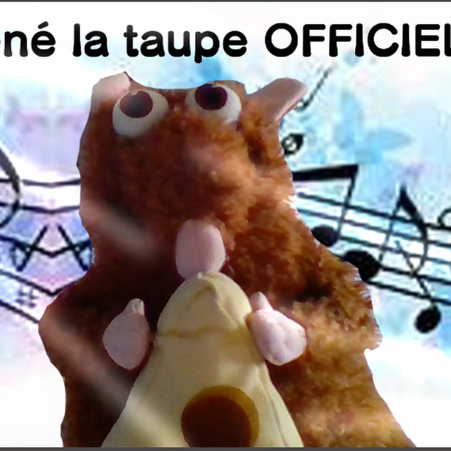 René la Taupe Officiel - YouTube