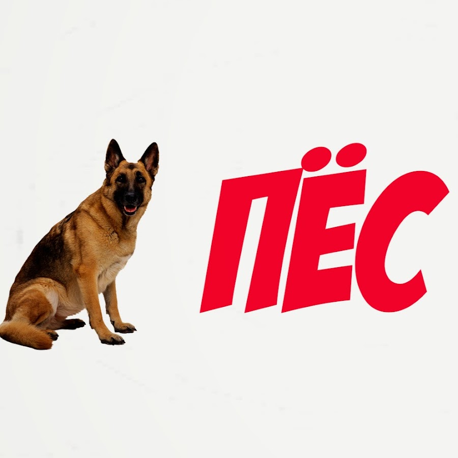 Пёс 3 сезон. Фильм пес 1 сезон 3 серия. Никита панфилов пес 3. Сериал пёс гнездилов и пёс. Пёс 3 сезон 18 серия.