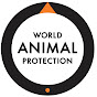 Proteção Animal Mundial