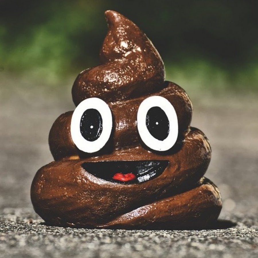 Какашка улыбашка